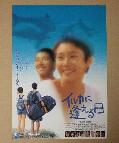 Amazon.co.jp: 【映画チラシ】イルカに逢える日 和泉聖治 小松千春